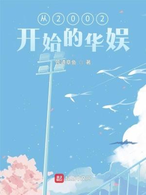 娱乐从2002年开始
