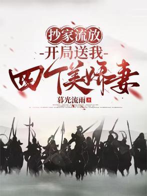抄家流放开局送我四个美娇妻动画