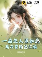 一品夫人是什么意思