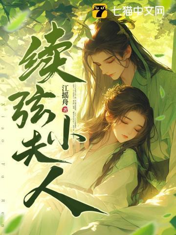 续弦小夫人短剧全集