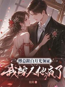 我嫁人他疯了合集