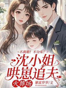 不离婚不分床 沈小姐哄崽追夫火葬场全文阅读
