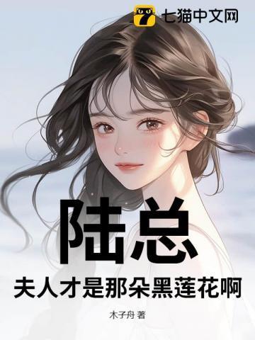 夫人开