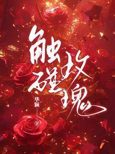 触碰玫瑰阮时笙完结了