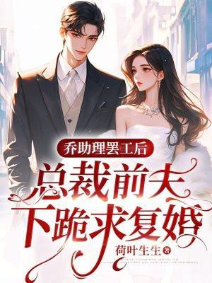 总裁和他的小助理乔子念