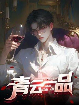 青云壹号价格