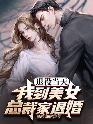 美女总裁与退伍兵王