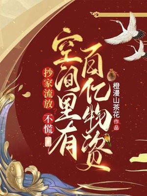 抄家流放不慌空间里有百亿物资txt