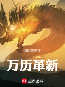 万历新政是谁负责的