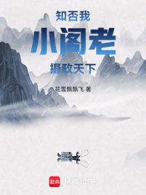知否我小阁老摄政天下笔趣阁