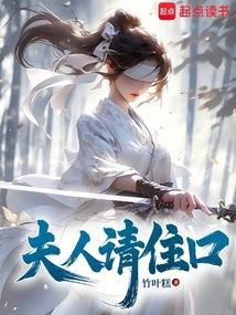夫人请住手同人