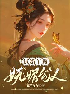试婚丫鬟和驸马的