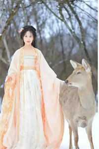休克代偿期和失代偿期是什么意思