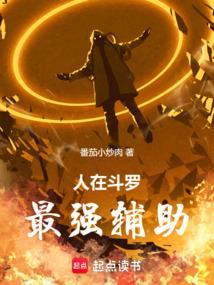 最强辅助笔趣阁