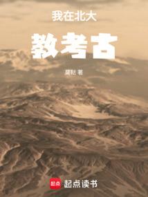 我在北大教考古免费阅读