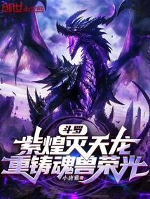 紫煌灭天龙百度百科