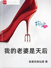 我的老婆是天后 笔趣阁