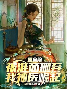 四合院偷偷暴富