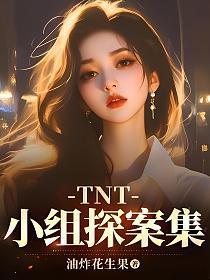 TNT小组探案集txt