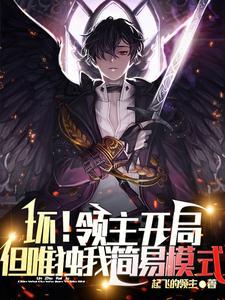破坏领主第二章闪退