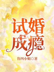 试婚成瘾短剧免费观看电视剧