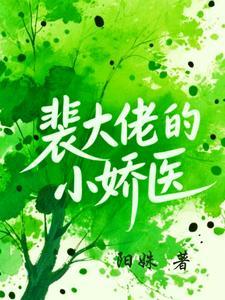 裴大佬的小娇医叫什么书名