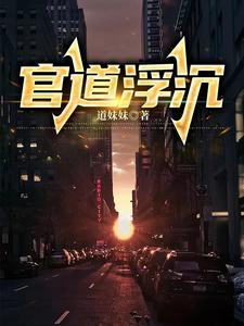官路之浮沉