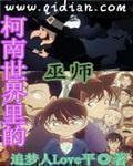 名侦探世界里的巫师评价