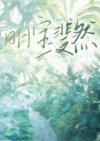 明宝斐然剧情介绍