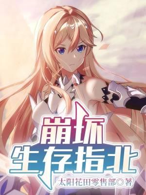 崩坏解析
