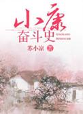 小康的奋斗目标