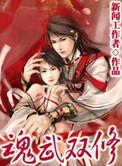 魂武双修TXT免费电子书
