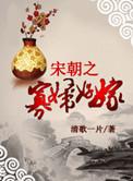 宋朝之寡妇好嫁29章阅读