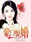 独占之豪门惊婚 锦衣夜行