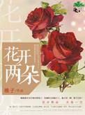 花开两朵各表一枝暗示