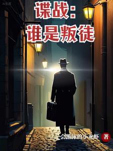叛谍电视剧