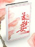 孟家妾笔趣阁