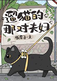 遛猫好不好