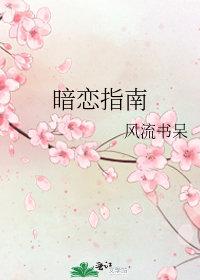 暗恋指南txt资源