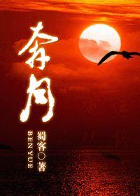 奔月百度百科