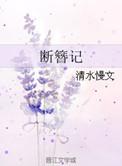 断簪记txt百度资源链接