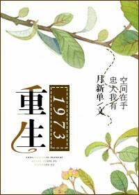 重生1973下乡知青